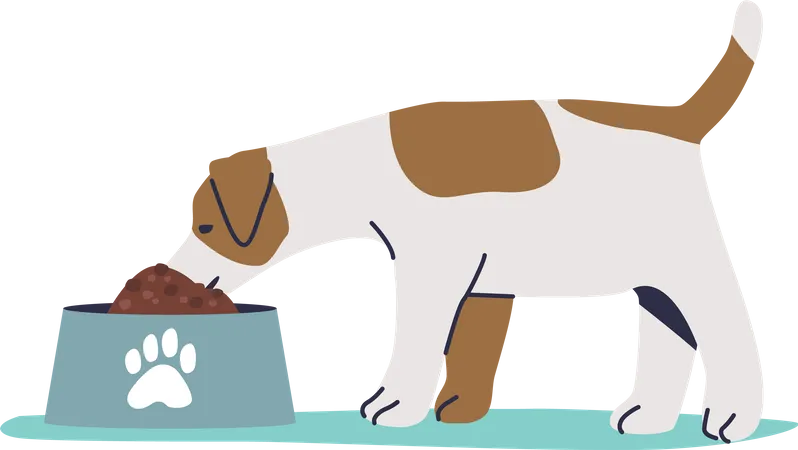 Dog eating dry food  Illustration