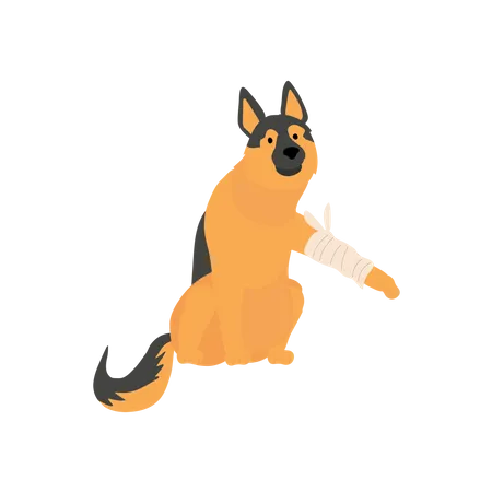 A Dog With A Bandage A Dog Get Sick Hurt Wounded Flat Vector Cartoon Illustration Illustration