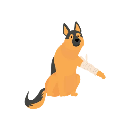 Dog Get Sick Hurt  Illustration