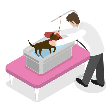 Dog getting groomed at professional pet barber shop  イラスト