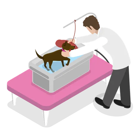 Dog getting groomed at professional pet barber shop  Illustration