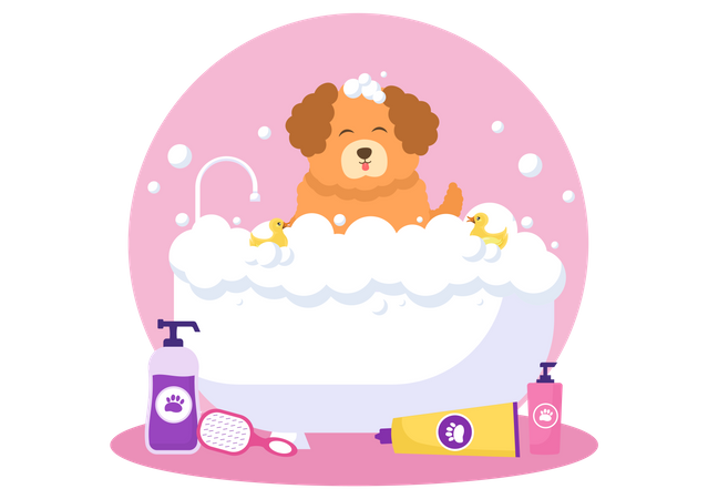 Dog Grooming  Illustration