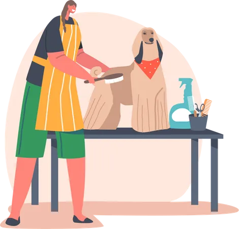 Friendly Hairdresser Female Character Provides Grooming Service Combing Dog With Long Hair In Salon Domestic Animal Stand On Table With Different Cosmetic Bottles Cartoon People Vector Illustration Illustration