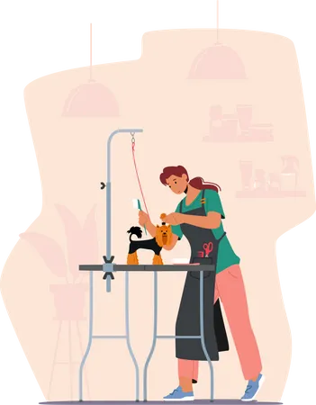 Friendly Hairdresser Female Character Provides Grooming Service Combing Dog With Long Hair In Salon Domestic Animal Stand On Table During Cosmetics Procedure Cartoon People Vector Illustration Illustration
