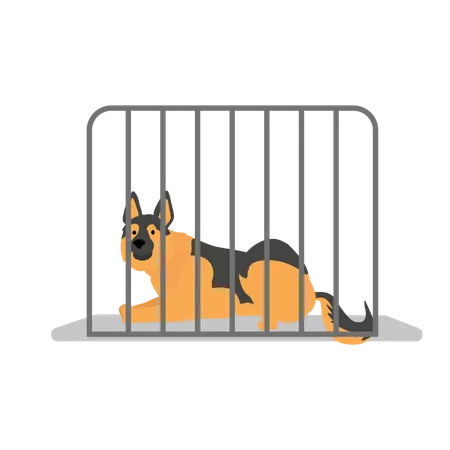 A Dog In The Cage Pet Shop Or Pet Rescue Center Dog Help Adoption Shelter Puppy Hotel Flat Vector Cartoon Illustration Illustration