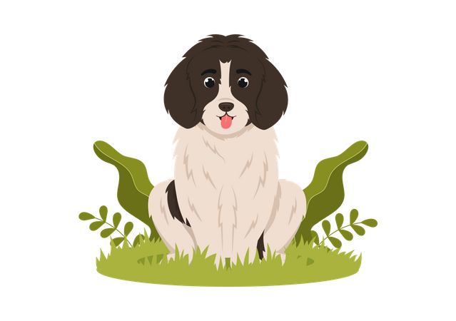 Dog  Illustration