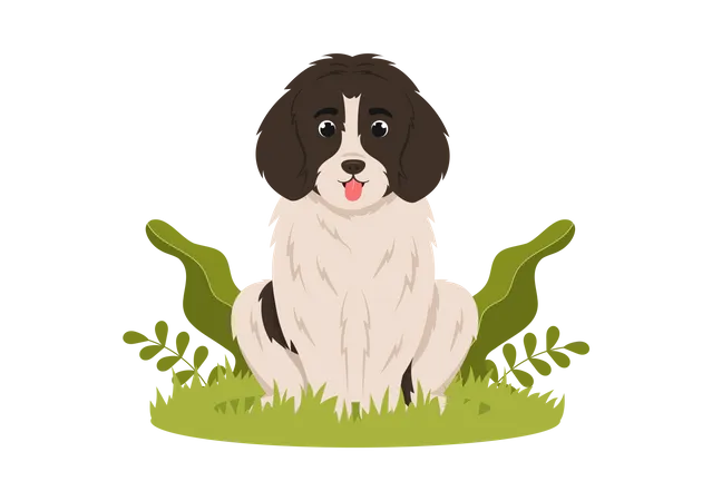 Dog  Illustration