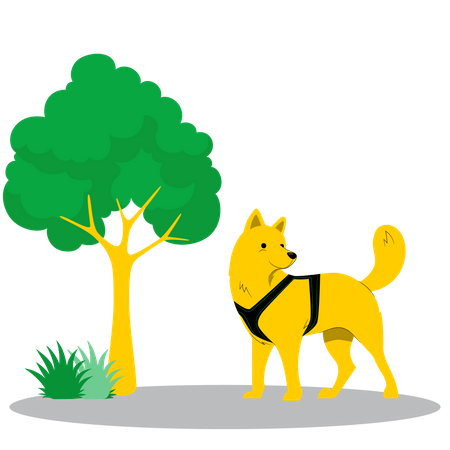 Dog  Illustration