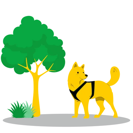 Dog  Illustration