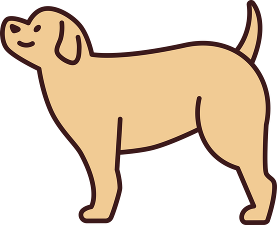 Dog  Illustration