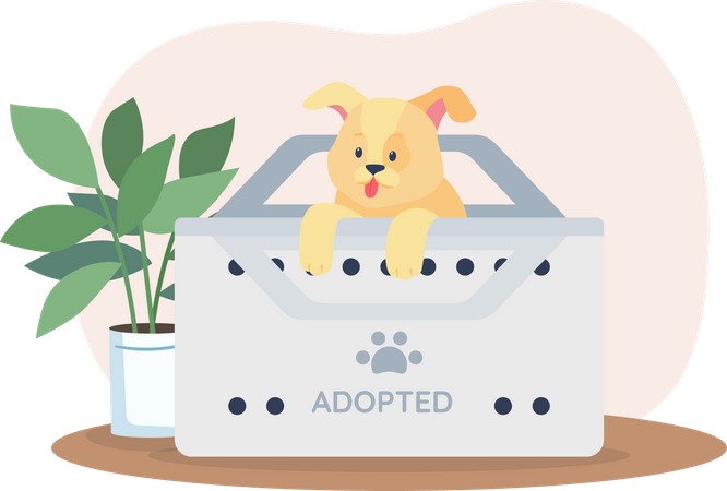 Dog in adoption box Illustration