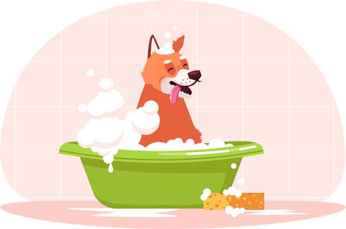 Dog in bath  Illustration