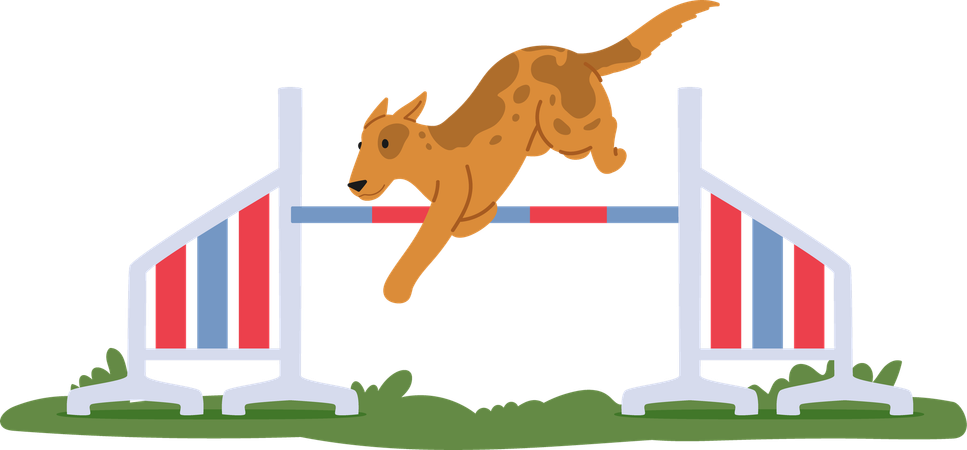 Dog jumping over high hurdle  Illustration