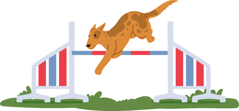 Dog jumping over high hurdle  Illustration