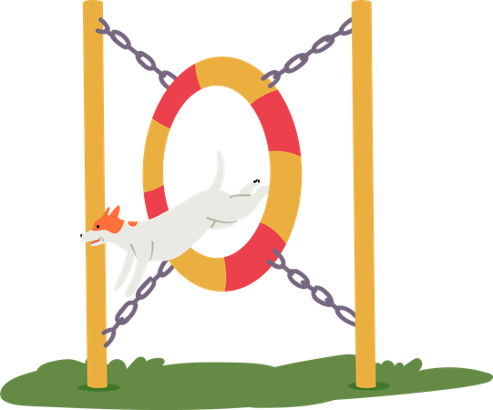 Dog jumping through ring  Illustration