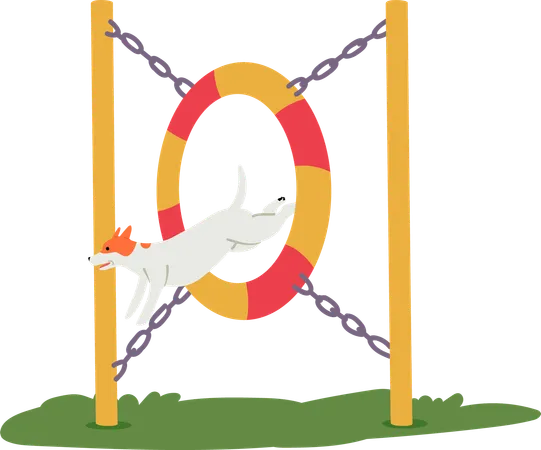 Dog jumping through ring  Illustration