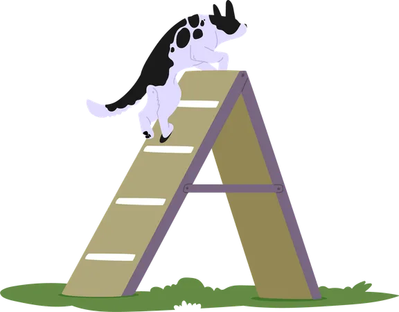 Dog navigating obstacle course  Illustration