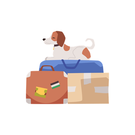 Dog on bag next to suitcase and box  Illustration