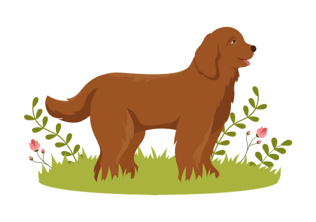 Dog pet  Illustration