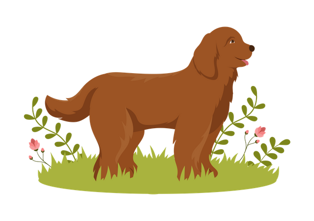 Dog pet  Illustration