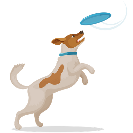 Dog Playing with Disc Illustration