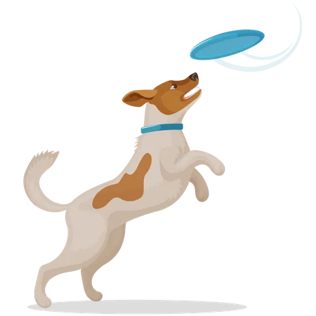 Dog Playing with Disc  Illustration