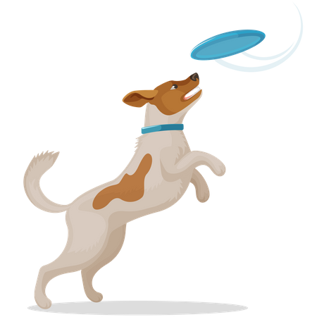 Dog Playing with Disc  Illustration