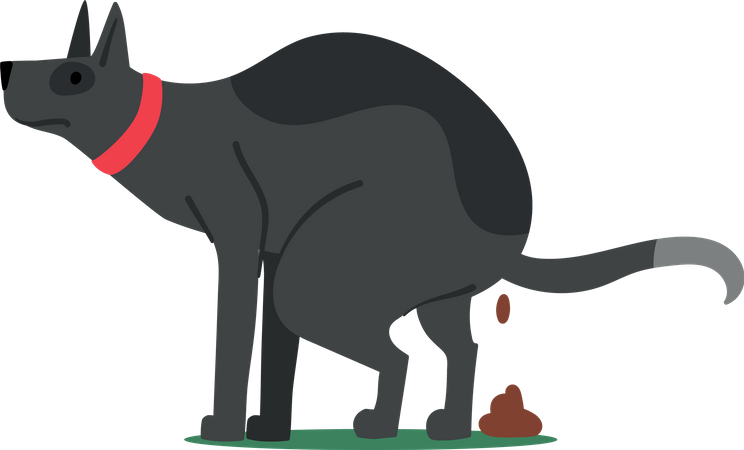 Dog Poop Excrement On Ground  Illustration
