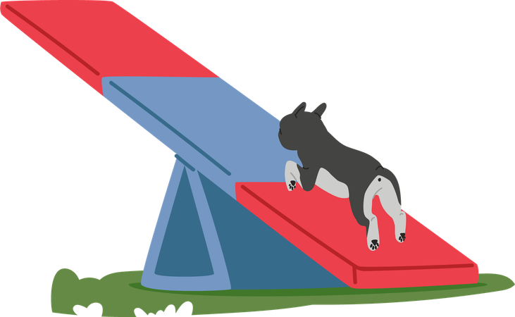 Dog practicing outdoor agility training  Illustration