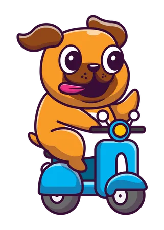 Dog riding scooter  Illustration