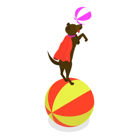Dog show in circus  Illustration