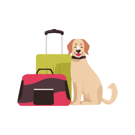 Dog sitting next to travel suitcase and carrier bag  Illustration