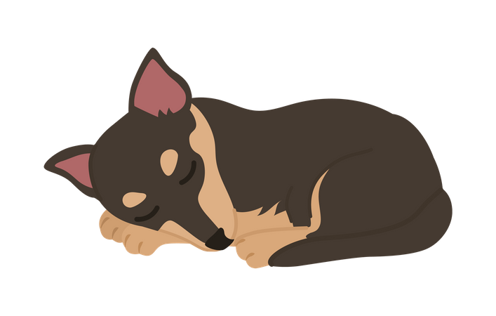 Dog sleeping Illustration