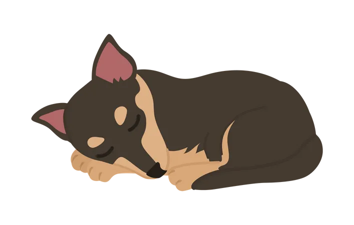 Dog sleeping Illustration