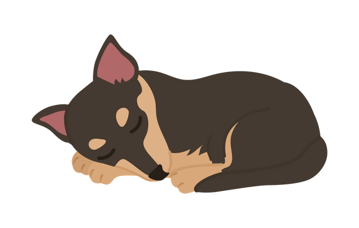 Dog sleeping  Illustration