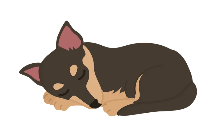 Dog sleeping  Illustration