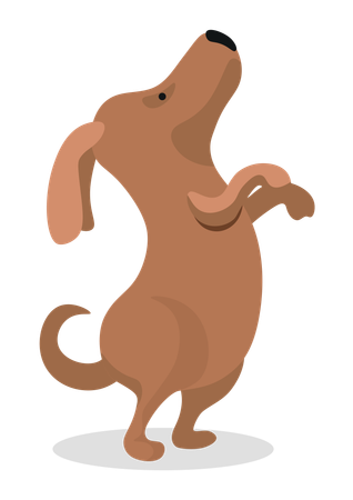 Dog Standing on Back Paws  Illustration