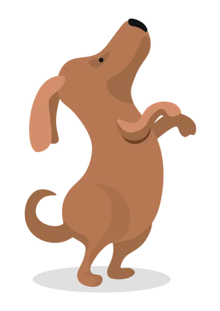 Dog Standing on Back Paws  Illustration