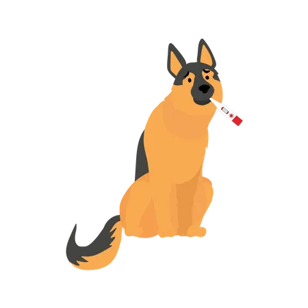 Ill Dog Concept Dog With Thermometer Flat Vector Cartoon Illustration Illustration