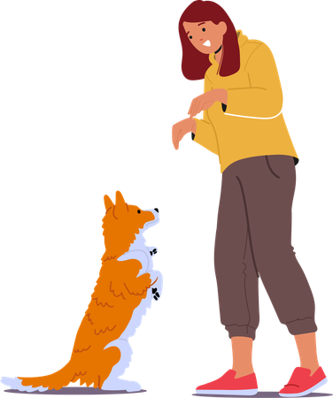 Dog trainer commanding dog to sit  Illustration