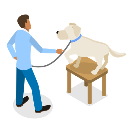 Dog Training Scenes  Illustration