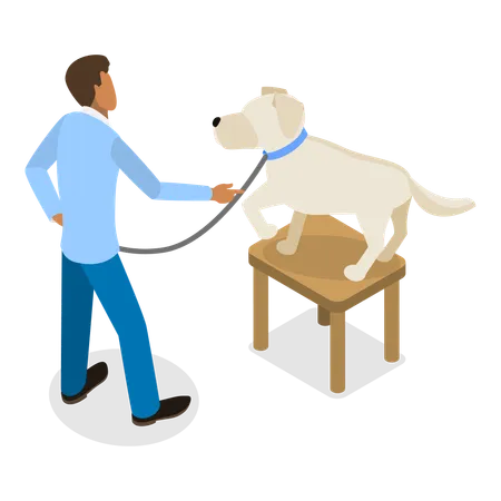 Dog Training Scenes  Illustration