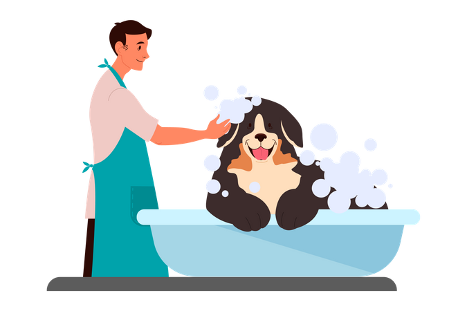 Dog washing service  Illustration