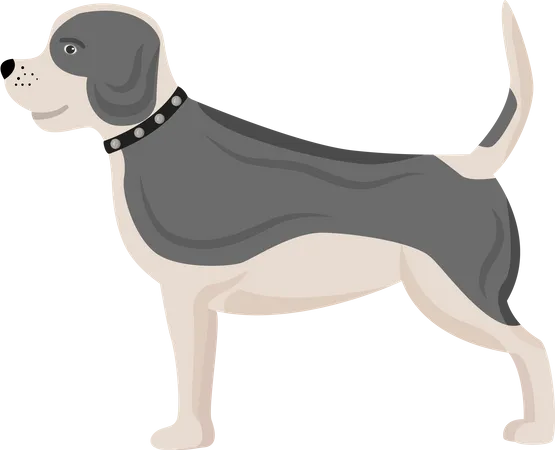 Dog with grey spots  Illustration