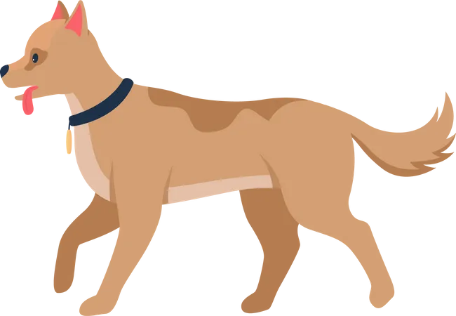 Doggy  Illustration