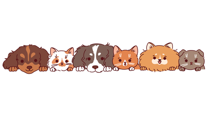 Dogs and cats of different breeds  Illustration