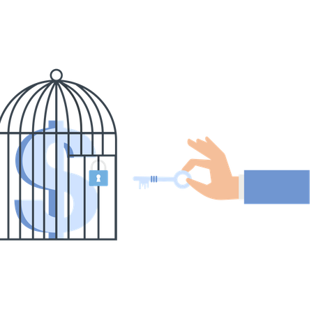 Dollar Sign in Cage with Key  of Financial Freedom and Security  Illustration