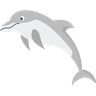 dolphin illustration svg