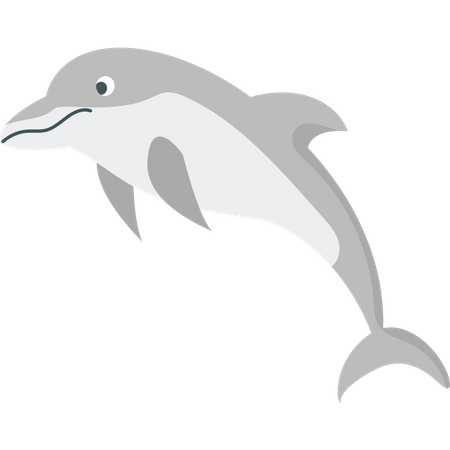 Dolphin jumping in sea  Illustration