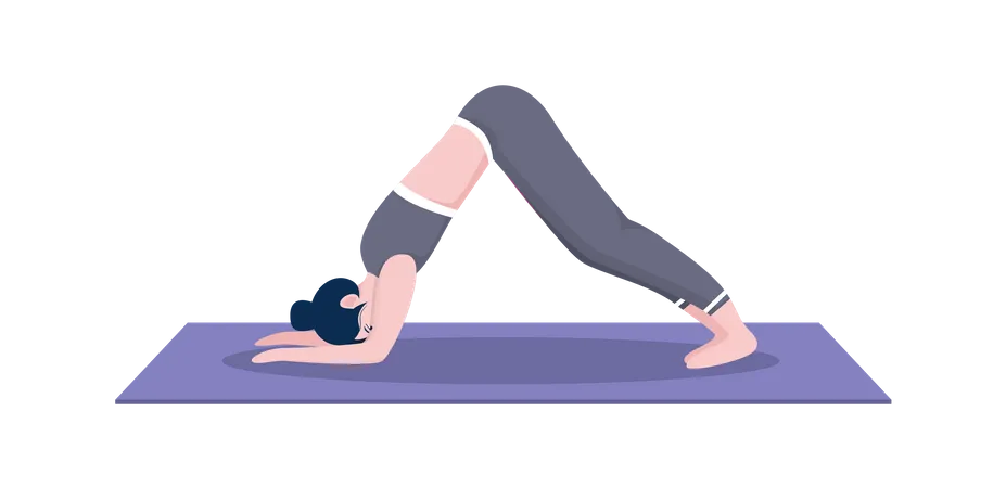 Dolphin pose  Illustration